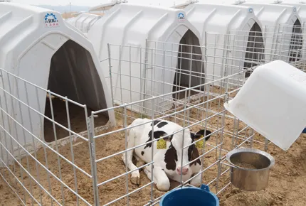 Calf hutch ventilation Guide
