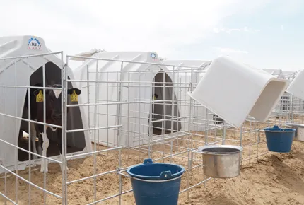 Durable calf hutch Guide