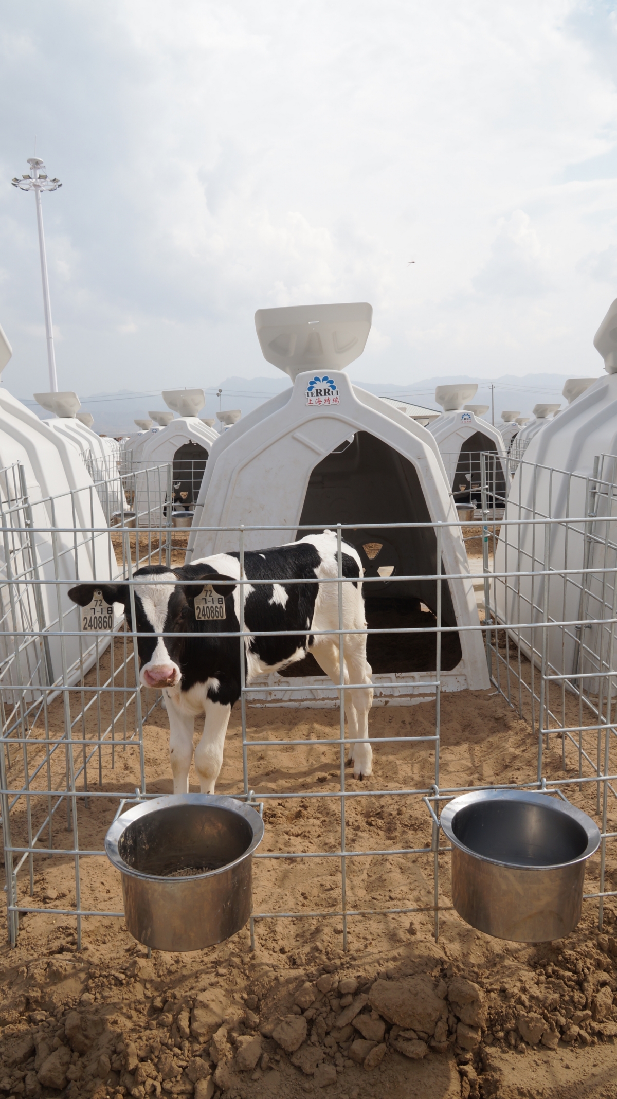 calf hutch ventilation system