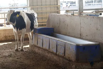 Safe Heated Livestock Waterer: Prevent Stray Voltage with Under-Panel Heating