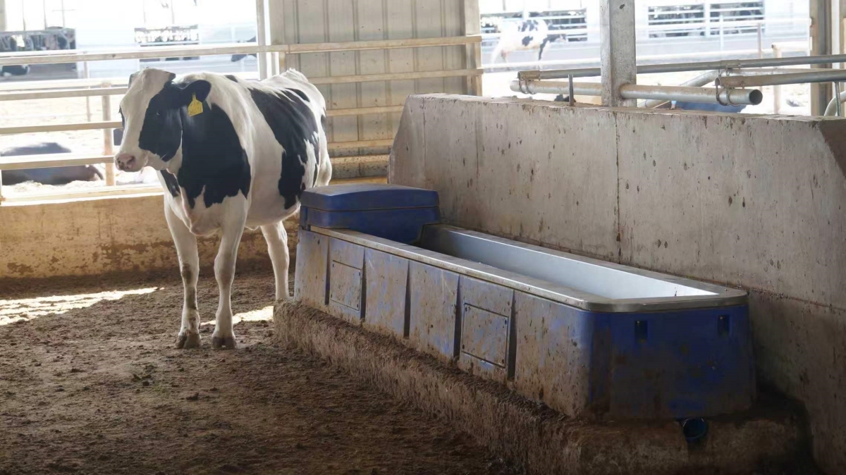 Technical schematic showing the 600W heater array completely isolated beneath the stainless steel bed of the livestock waterer.