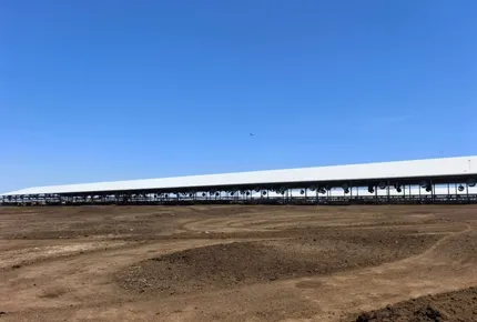 Low Noise Fan for Cattle Creates A Peaceful Milk Production Barn