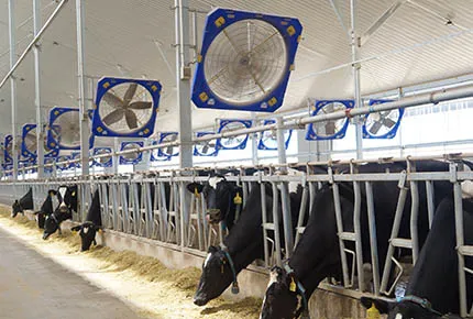 Outer Rotor PMSM Technology: The Engineering Inside Modern Livestock Ventilation Fans
