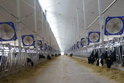 Smart Labor Economics: Harnessing IoT App Systems to Mitigate Bovine Heat Stress Autonomously