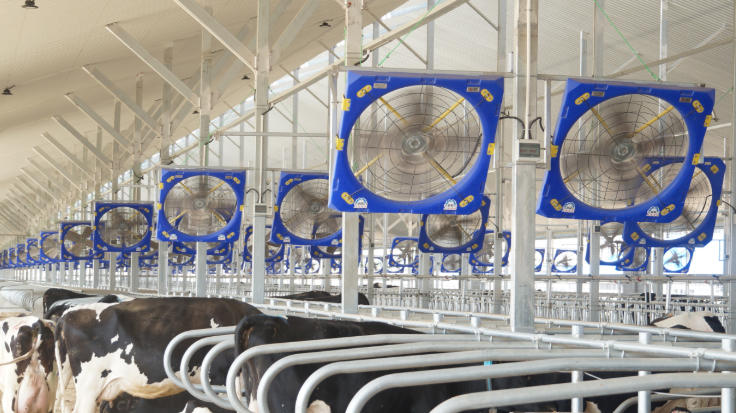 Close-up of single-rivet 304 stainless steel fan blades engineered for precision dynamic balancing in a 38-inch panel fan