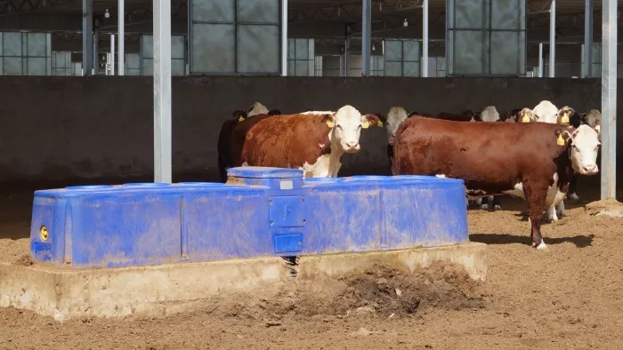 Float valve mechanism inside an automatic cattle water drinker refilling the trough Float valve mechanism inside an automatic cattle water drinker refilling the trough