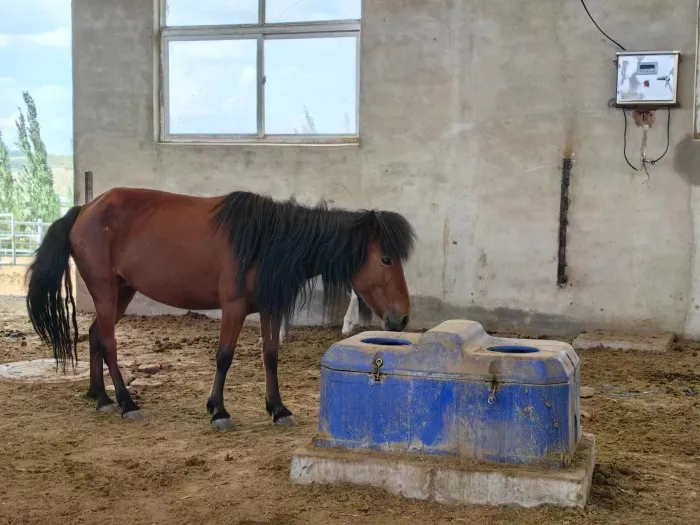300W electric heating plate of an automatic horse water drinker for winter 300W electric heating plate of an automatic horse water drinker for winter