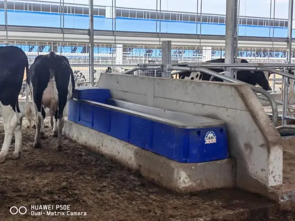 stainless-cattle-trough-heated-model-1.jpg