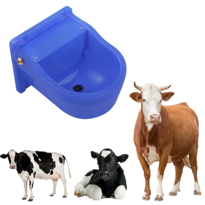 TRW405DBLL automatic cattle drinking bowl mounted in a dairy pen with braided hose water supply TRW405DBLL automatic cattle drinking bowl mounted in a dairy pen with braided hose water supply